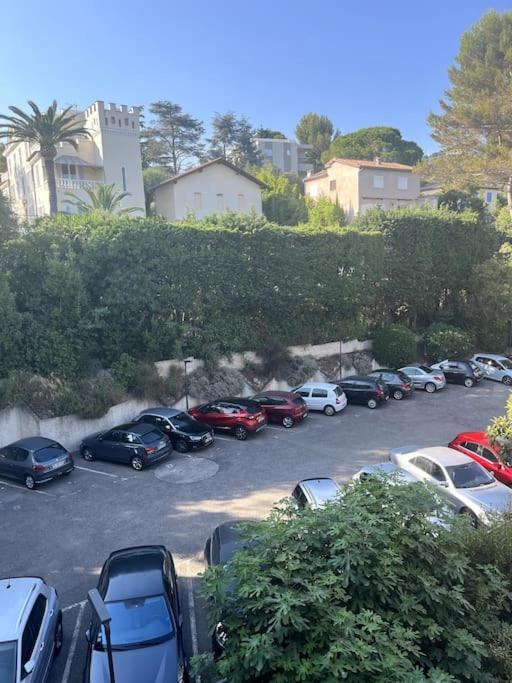 Calme Avec Vue Sur Un Grand Pin Parasol Appartement *
